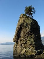 A rock spire with a tree on top stands in water.  Mountains in the background.