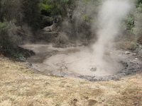 A muddy pond with large bubbles breaking the surface and steam rising from it.