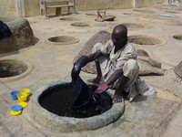 Old man dipping fabric into indigo dye