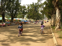 Children cycling on a quiet road in a park.