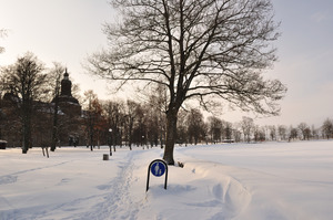 A path through snow leads up the middle of the picture.  On the left is a castle seen through trees.  On the right is a frozen and snow-covered lake.