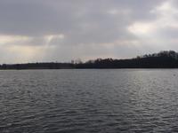 Picture of Wroxham Broad