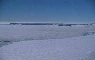 Windy from the cliffs (penguin groups visible)