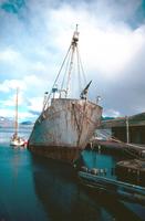 The whale catcher Petrel