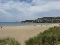 A curving beach of golden sand.