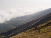 View along the mountainside, showing large burnt patches