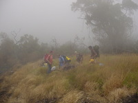 End of the forest, start of the savannah