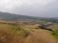 Old lava flows covered in grass