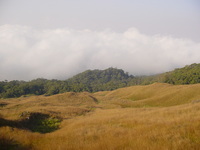 Looking down across grassland to the forest and clouds