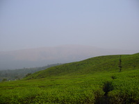 Mountain just visible through the mist