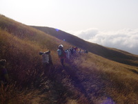 Line of porters walking across grassland