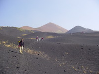 Scattered people walking over cinder landscape