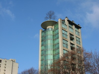 A modern apartment block topped with a  tree, against a clear blue sky.