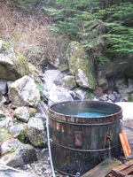 A large wooden tub, full of clear steaming water sits among rocks and trees.