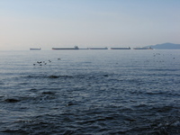 A line of large cargo ships against the horizon.  In the foreground birds fly low across the water.