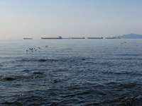 Ships at anchor, waiting to enter the port. A line of large cargo ships against the horizon. In the foreground birds fly low across the water.