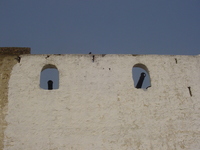 Rusty old cannons poke through the battlements of a whitewashed fort.