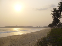 Low sun over a bay.  Waves washing on the sandy beach, palm trees on the right and sea spray in the air.