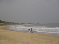 Marebec and Dave (with a dog) in the centre, walking along a curving beach away from the camera.  Waves are crashing in on the right-hand side.  On the left palm trees fringe the beach.