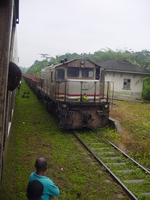 A train of ore wagons passing by, from the window of another train.  The locomotive is carrying a bunch of plantain on the front.