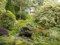 Lots of colourful trees and other plants, with a path winding through them