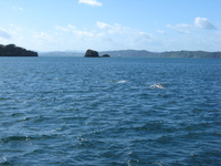 A dolphin's back can just be seen in the sea, small islands and land in the background.
