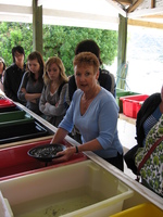 A woman stands at a water-filled container, swirling grit around in a pan, surrounded by tourists.