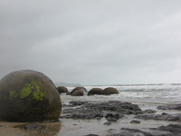 Big, dark, round boulders on a windswept beach.