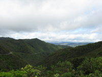 Rolling, green, tree-covered hills with a road cutting along the side of one.