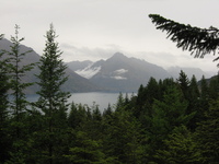 Cloudy mountains and a lake seen above trees.