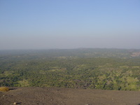 Bush with a tiny village visible in the distance