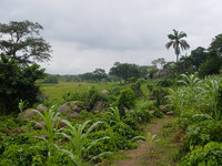 Fields and trees at the foot of the rock