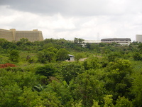 Picture looking across undeveloped land towards the International Conference Centre and Le Meridien