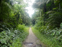 Path to Apparambie