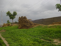 Crumbling mud wall with a goat standing on it.