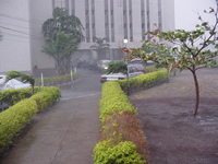 Picture of heavy rain shower at Radio House, big raindrops bouncing off cars