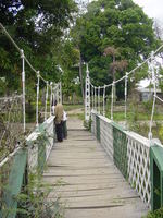 A metal suspension bridge, rusting through the green and white paint