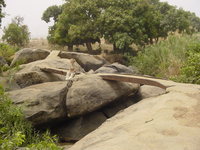 Large rocks sitting in a river (not visible), Jan sitting on the rocks.  Metal planks crossing from one side to the other.  Trees on either side of the river