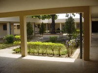 A plant-filled courtyard in the middle of a single-storey building