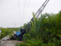 Crane sinking into the swamp