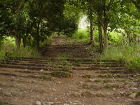 (Rough) steps leading up to the waterfall