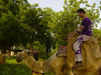 Jan riding a camel