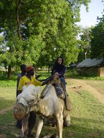 Marebec riding a camel