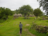 Small huts in a grassy enclosure, goats grazing to one side