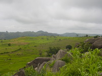 Terraced fields in a hilly landscape