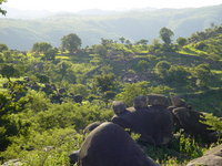 Huts and walls among crops