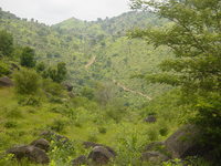 A dirt track leads up a steep hillside