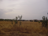 Landscape photo of the plateau near Jos