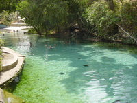 People swimming in shallow, blue water