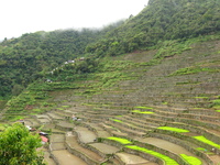 Stone-faced rice terraces leading up a steep slope.